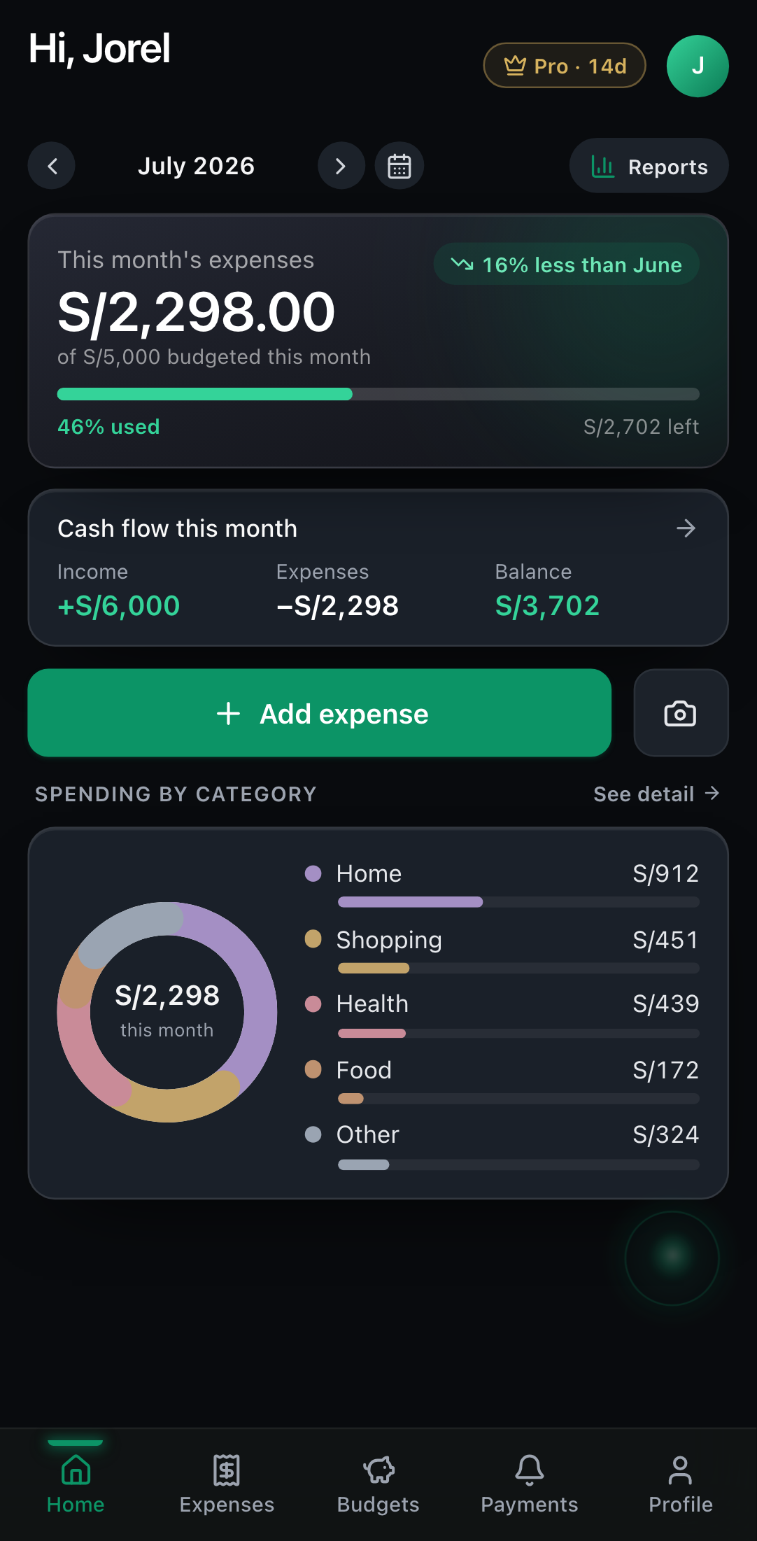 Home screen with the month total, budget bar, balance and category breakdown.