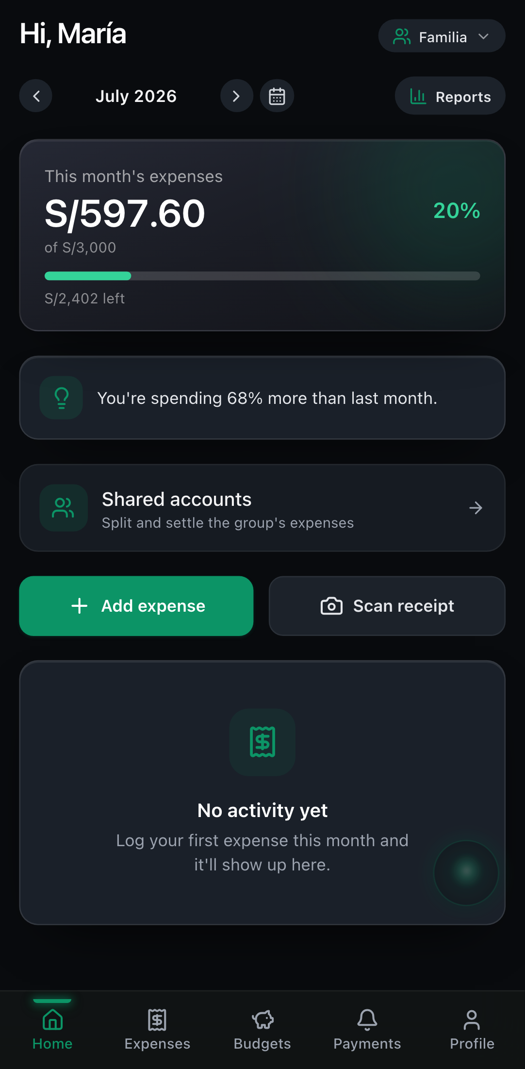 The active collaborative space, with the group's shared expenses.