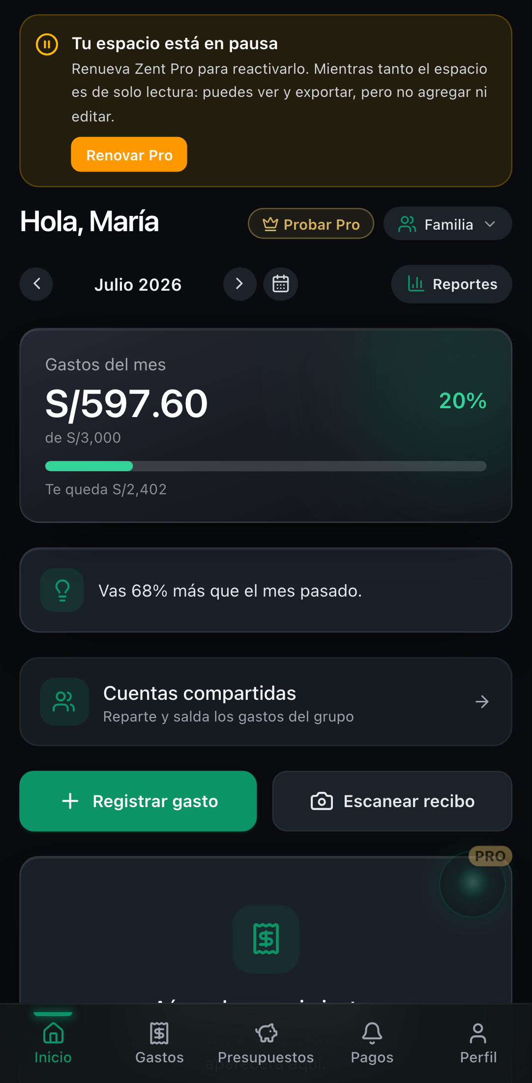 Un espacio en pausa: banner de solo-lectura con la opción de renovar Zent Pro.